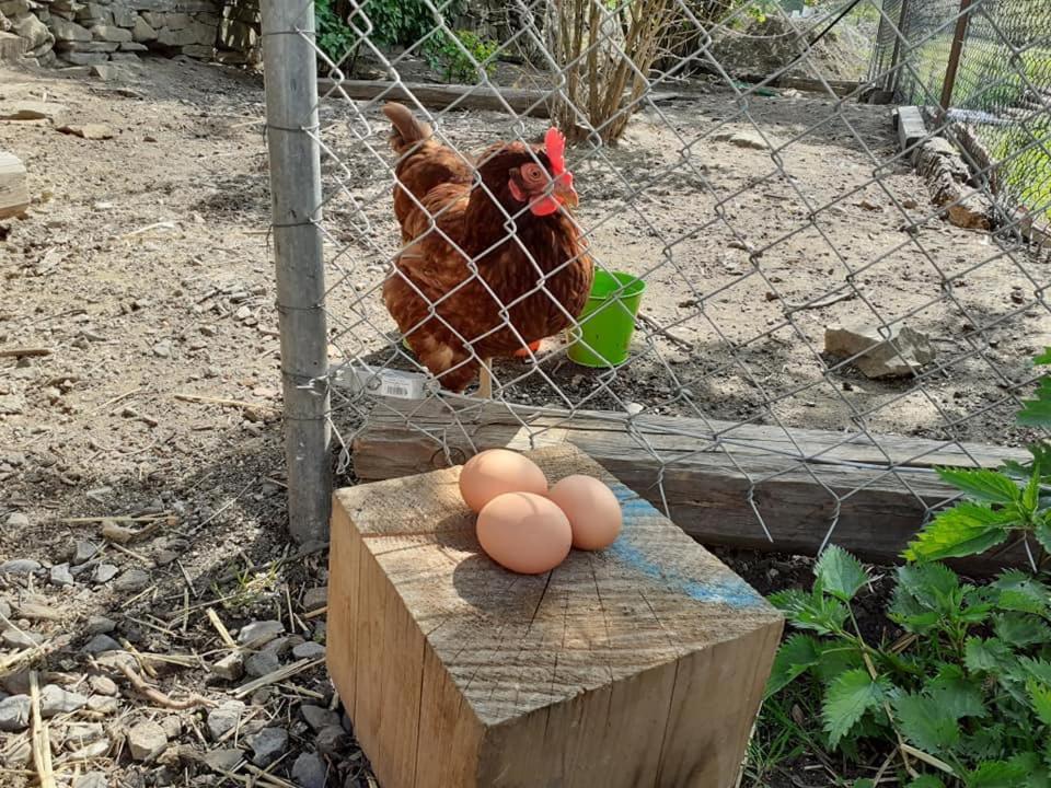 Penzion Mala Farma Nemojany Exterior foto